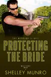 Protecting the Bride synopsis, comments