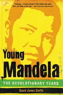 young mandela book cover image