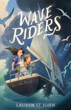 wave riders book cover image