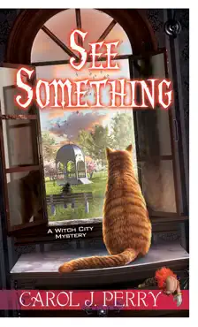 see something book cover image