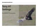 Sony A1 Settings For Wildlife Photography