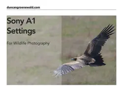 sony a1 settings for wildlife photography book cover image