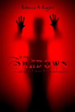 in the shadows book cover image