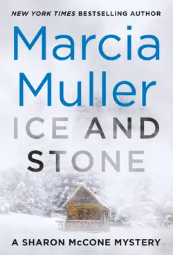 ice and stone book cover image