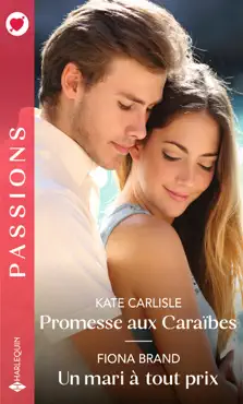 promesse aux caraïbes - un mari à tout prix book cover image