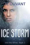 Ice Storm synopsis, comments