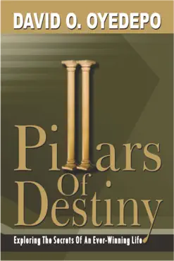 pillars of destiny book cover image