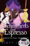 Enchantments and Espresso synopsis, comments