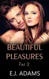 Beautiful Pleasures Part 2 synopsis, comments