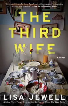 the third wife book cover image