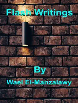 flash writings book cover image