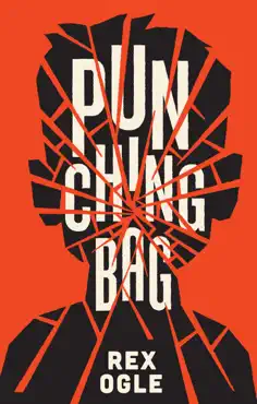 punching bag book cover image