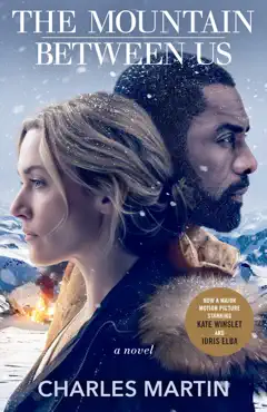 the mountain between us book cover image