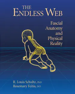 the endless web book cover image