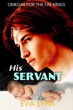 his servant book cover image