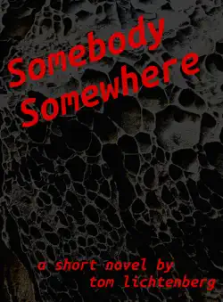 somebody somewhere book cover image