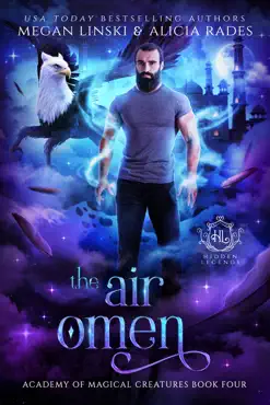 the air omen book cover image