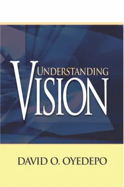 understanding vision book cover image