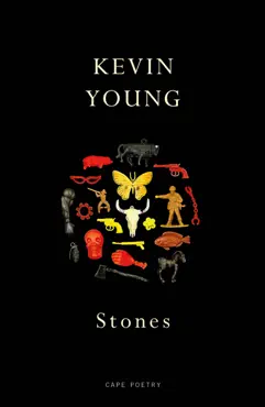 stones imagen de la portada del libro