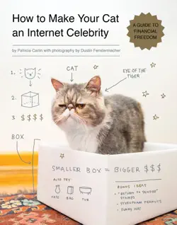 how to make your cat an internet celebrity book cover image