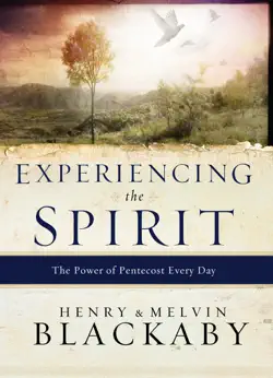 experiencing the spirit book cover image