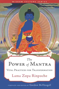 the power of mantra imagen de la portada del libro
