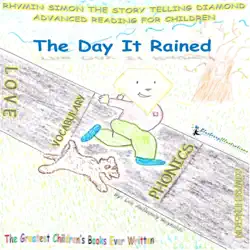 the day it rained book cover image