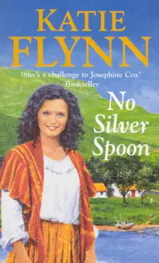 no silver spoon book cover image