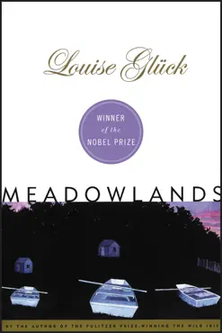meadowlands book cover image