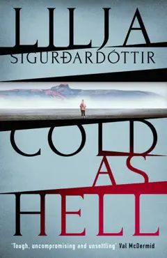 cold as hell book cover image