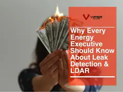 ldar for energy executives book cover image