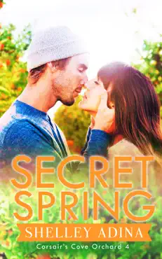 secret spring book cover image