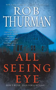 all seeing eye book cover image
