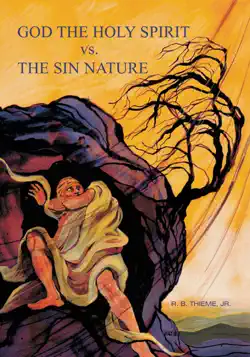 god the holy spirit vs. the sin nature book cover image