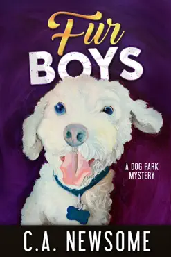 fur boys book cover image