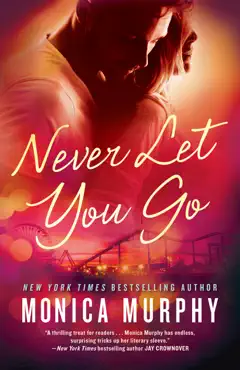 never let you go book cover image