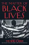 The Matter of Black Lives sinopsis y comentarios