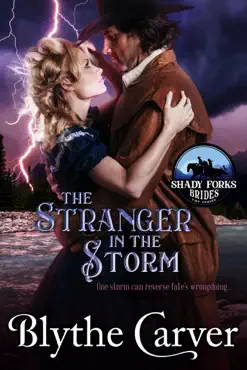 the stranger in the storm book cover image