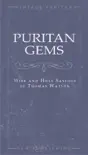 Puritan Gems synopsis, comments