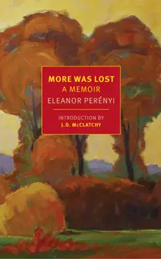 more was lost book cover image