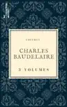 Coffret Charles Baudelaire sinopsis y comentarios