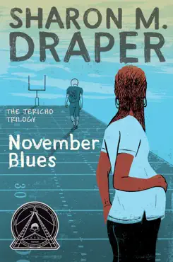 november blues book cover image