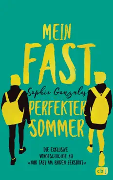 mein fast perfekter sommer book cover image