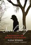 Soul Dog synopsis, comments
