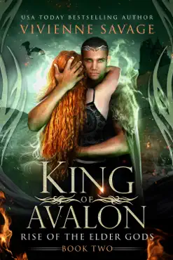 king of avalon book cover image
