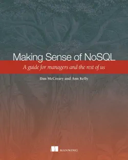 making sense of nosql book cover image