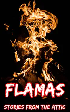 flamas book cover image
