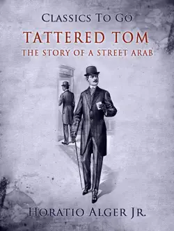 tattered tom book cover image