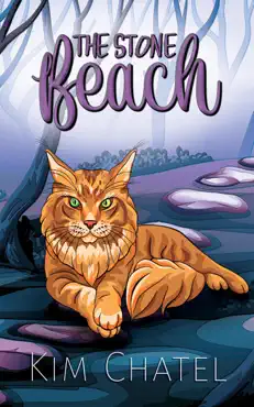 the stone beach book cover image