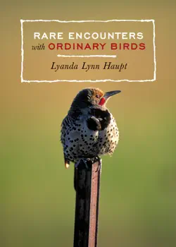 rare encounters with ordinary birds book cover image